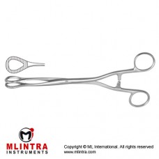 Heywood-Smith Sponge Holding Forcep Straight Stainless Steel, 20 cm - 8"